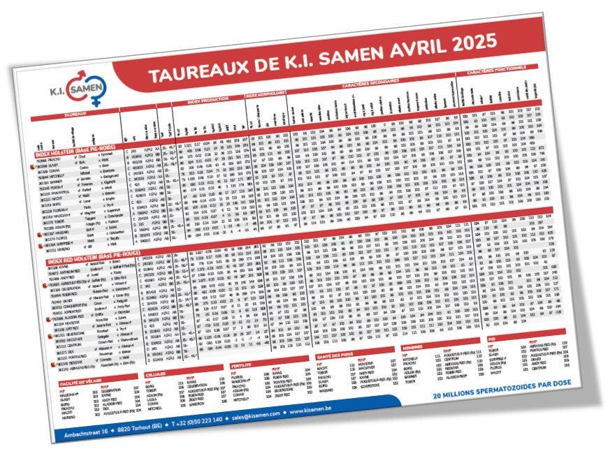 Taureaux de K.I. Samen Avril 2025