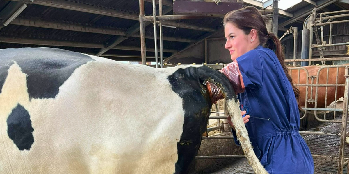 UITGELICHTE FOTO WEBSITE 1200X800 (4)